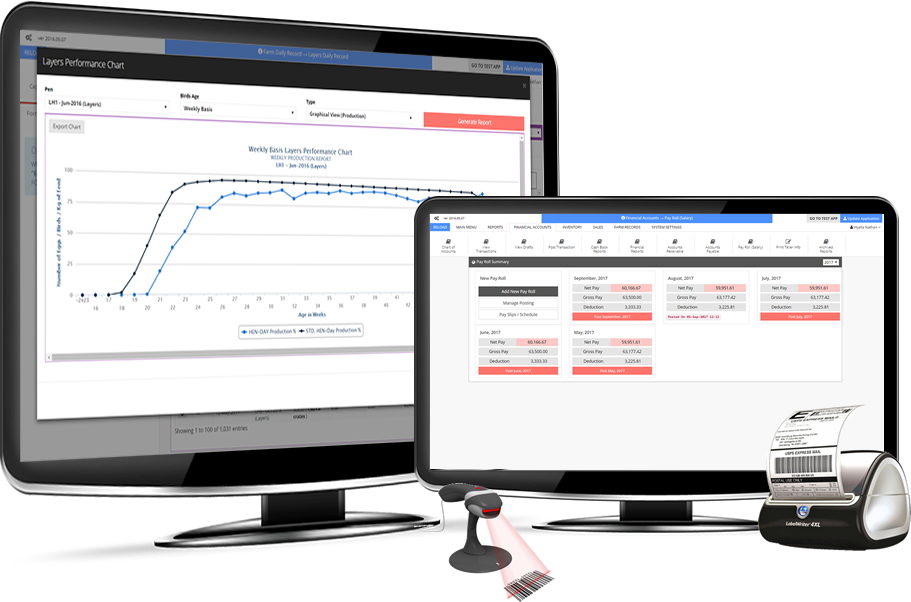 Hyella reports and dashboards