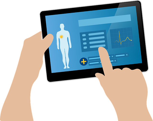 Electronic Health Record System in Nigeria - Advantages and Disadvantages